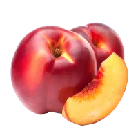 visuel-nectarine
