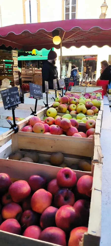 Producteur de fruits à Montauban